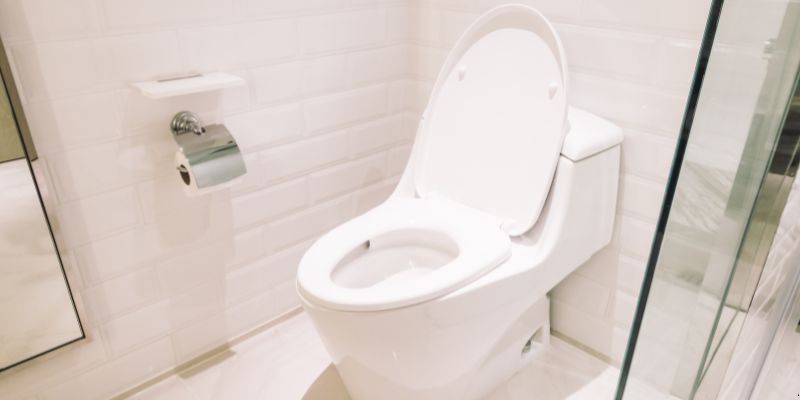 Como Desentupir Vaso Sanitário Que Caiu Objeto Dentro em Manaus: 4 Técnicas